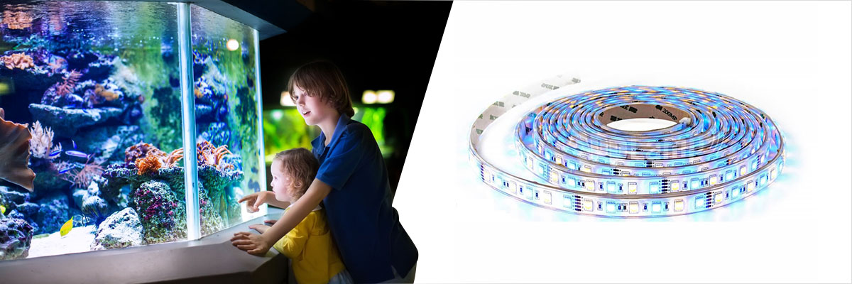 Let there be aquarium light!